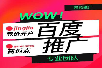 百度推广服务费案例：打造爆款产品营销策略